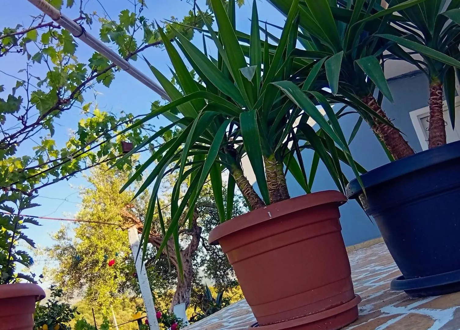 Village Relax Apartment Himarë 0*,  Albanie